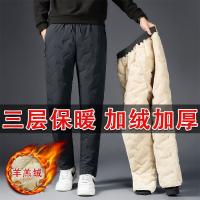 cms/erpbt/backend/web/uploads/erp/collection/images/Men Clothes/XMKL/EN0133946/img_b/EN0133946_img_b_1